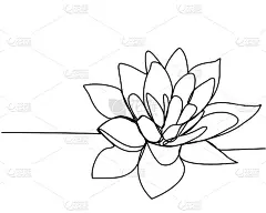 莲花的连续线描。美与自然、爱的概念。水生植物生态学。睡莲花手绘设计草图。矢量插图。