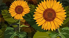 艳丽夺目的彩绘鲜花宽屏桌面壁纸桌面壁纸1