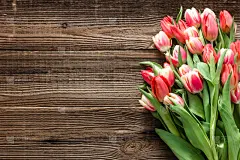 贺卡,郁金香,木制,白昼,多色的,清新,母亲,春天,花束,背景