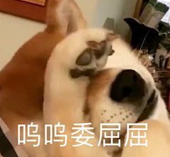 94YaGKN1采集到666