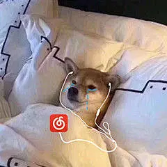 斗图表情包_搞笑0414OX07142023