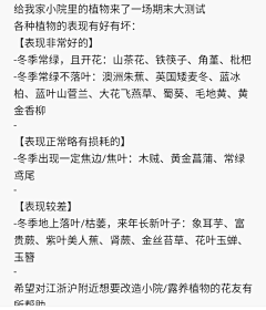 o萌萌o采集到冬季植物