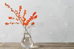 白色,浆果,枝,围墙,花瓶,玻璃,冬天,背景,水,留白