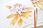 Floral patterns and illustrations for Royal Insignia : Floral watercolor patterns by Kateryna Savchenko