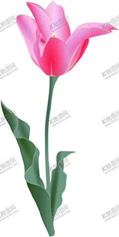 郁金香 【酷图网】手绘花朵,花朵,花卉,手绘花草,水彩花草,卡通花朵,花朵插画,蓝色花朵,水彩花朵,花朵绘画,花朵美术,水彩画,水彩花卉,花草,花朵艺术,艺术花朵,花朵背景,花朵图案,花,植物插画,插画花朵,郁金香插画,郁金香手绘