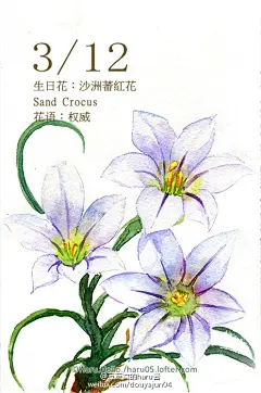 豆芽君的haru酱的微博_微博