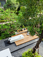 Trio Shine: สวน 3 มิติ (#gingsite1090)