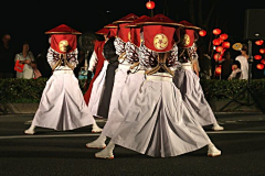 空海桜井采集到和风