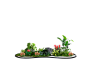 苔藓绿化组景2