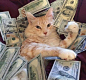 猫猫和钱