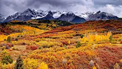 秋天的唯美红色落叶电脑桌面壁纸