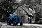 15 Black & White Photos with Selective Color Effects - DesignModo