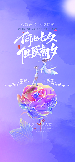 白色紧身裤采集到画板