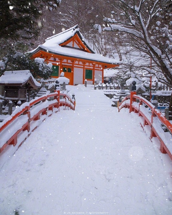 奈良雪景❄