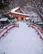 奈良雪景❄