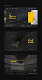 EVS Web design