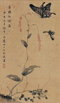 方婉仪—《芳圃仙踪图》立轴欣赏  
方婉仪(1732~1779)一作畹仪，罗聘妻，字仪子，生于雍正十年六月二十四日，此据传为荷花生日，有"我与荷花同日生"之句，故自号白莲、白莲居士，安徽歙县人。广东布政使方愿瑛孙女，国子学生方宝俭女儿。自幼随父和姑母方颂玉学习诗画。18岁嫁扬州八怪之一罗聘为妻。家住扬州城内弥陀寺附近(今扬州市弥陀巷46号，罗聘为其起名"朱草诗林")，有二子(允绍、允赞)，一女(芳淑)。善画梅、兰、菊、竹、石，罗聘称其有出