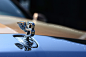 Luxury car brand | details