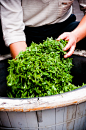 Tea Roasting With Hand by Lumaca Moderno on 500px