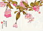 昔酒011日常写生花草选




非常有中国风感觉的手绘植物,也有画家自己的风格,大家感兴趣关注作者的微博:昔酒011