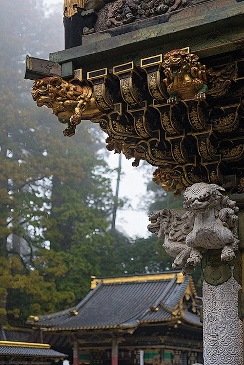 配色内的花瓣采集图片-勤劳werp