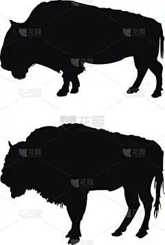 野牛轮廓
