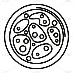 乳酸菌图标勾勒病媒.健康细胞。微型实验