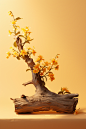 geomyidae_Dead_wood_light_yellow_osmanthus_light_solid_color_ba_7b606b0d-c7d4-4b26-ab3f-8eec8fbc6e82