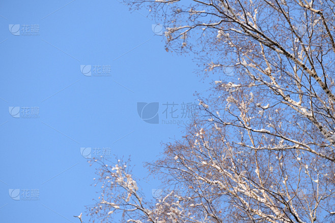 天空,冬天,王冠,海洋,背景,接力赛,寒...