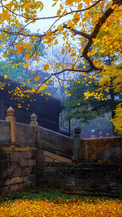 豆芽君的haru酱采集到风景