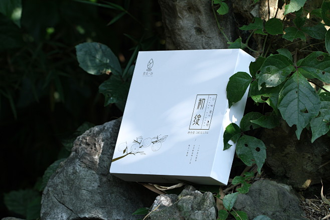 拾光一叶-古田路9号-品牌创意/版权保护...