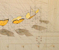 委内瑞拉艺术家 Rafael Araujo 丝毫没有使用科技产品辅助，单靠铅笔、尺、量角器就画出了大自然中的奥妙数学：蝴蝶起飞的方式，贝壳的螺旋生长比例，许多作品都带有一种达文西手稿的风味.