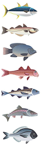 Illustrations for Selfridges' Project Ocean fish guide by Sanna Annukka: