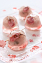 Sakura jelly -wagashi -april #赏味期限# #甜品# #吃货#