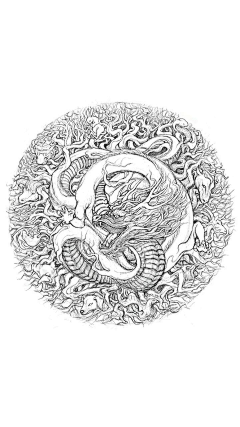 苍画枫采集到黑白