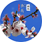 最美的约定：二十四番花信风-图片频道-中国天气网 : 来源：中国天气网