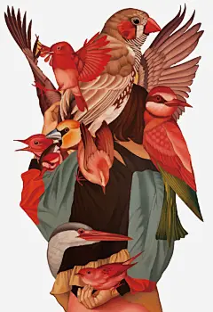 矢量抵制服装使用鸟羽插画免抠素材_新图网 https://ixintu.com 鸟类 保护自然 抵制 鸟羽 服装 卡通