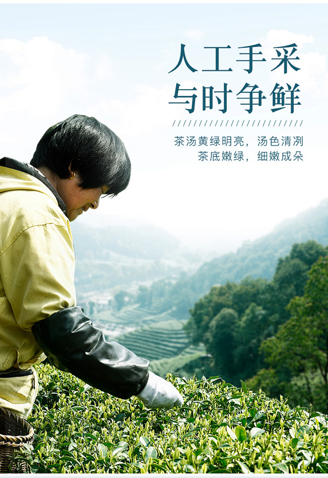 特级明前西湖龙井2019新茶绿茶高档龙井...