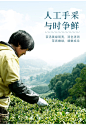 特级明前西湖龙井2019新茶绿茶高档龙井茶送礼年货茶叶礼盒装250g-tmall.com天猫