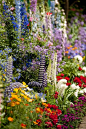 Monet's Garden | Flickr - Photo Sharing! #花园#