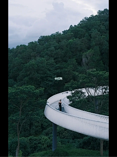lin312955643采集到宜宾