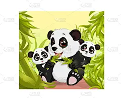 很可爱的熊猫吃竹子
