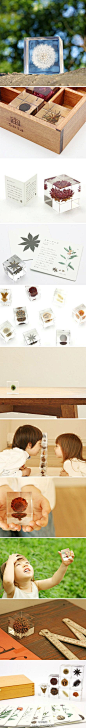 日本设计师吉村紘一的创意品牌Sola，使用各种植物的种子做成的小物件，包装盒也非常漂亮