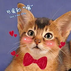 日常晒物萌宠可爱风plog模板
