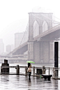 Fog and rain at Brooklyn Bridge
纽约的风情