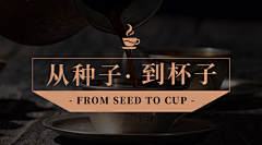 sean1999采集到A