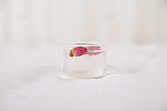 饮品系列写实冲饮花茶