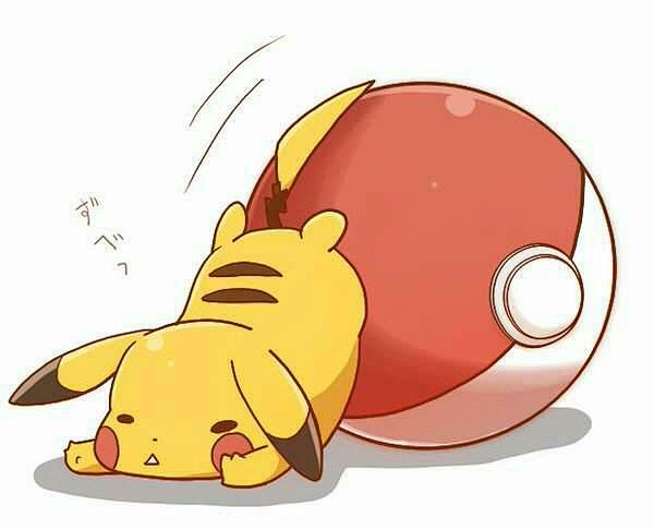 神奇宝贝