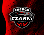 ENERGA CZARNI运动服品牌 运动服logo 猎豹 豹子 体育 服装 徽标 商标设计  图标 图形 标志 logo 国外 外国 国内 品牌 设计 创意 欣赏