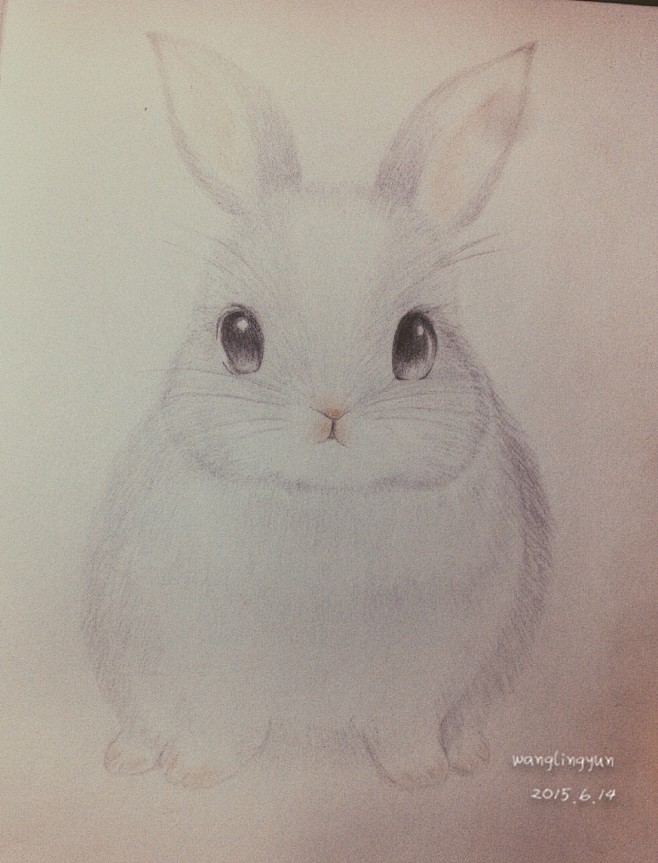 素描 小兔子